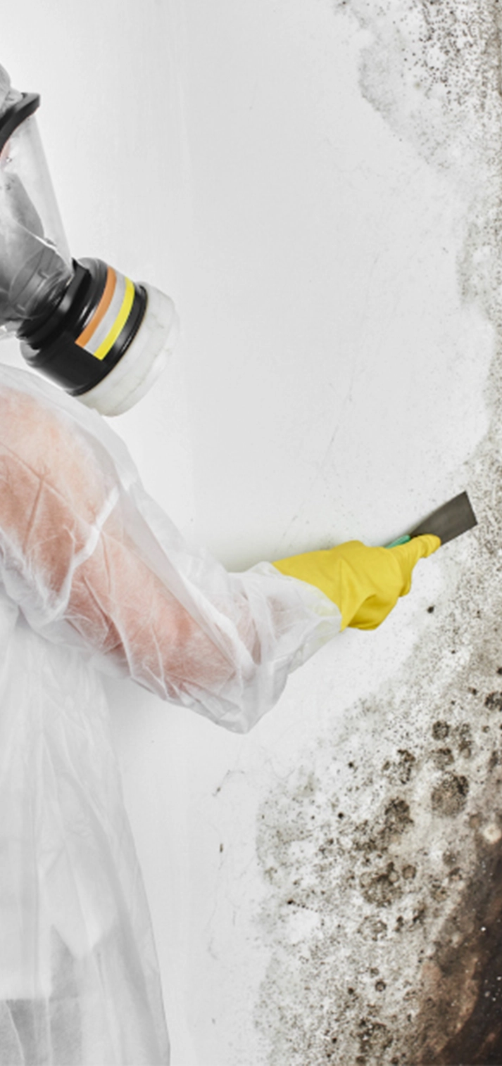 benefits of professional lead paint