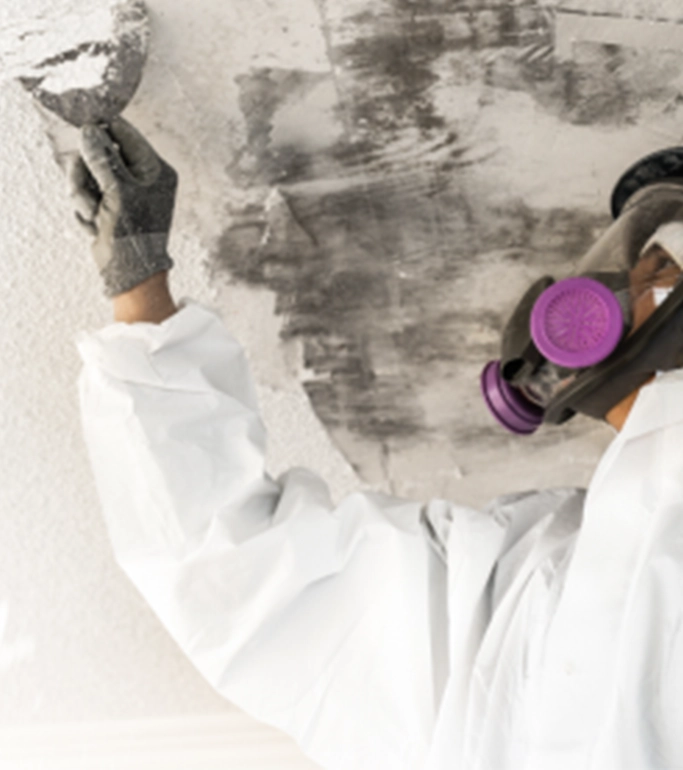 why choose magcor for lead paint abatement support